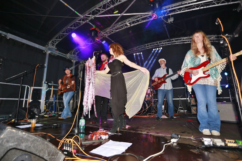 Figgle Fest 2024 image